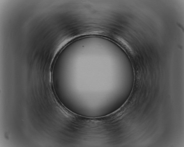 X0000093591324200710151010
