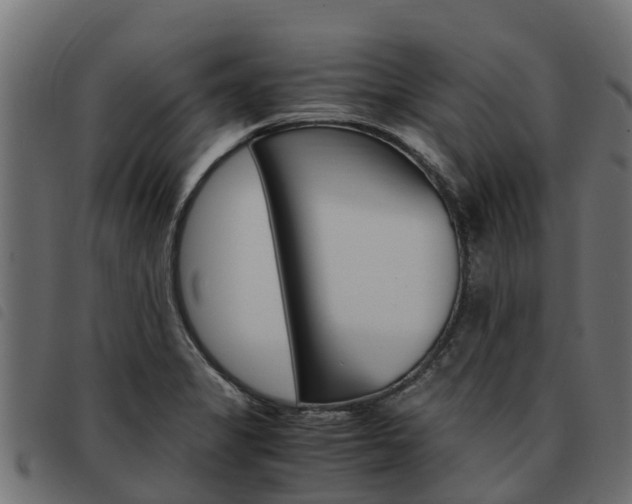 X0000093591325200710151010