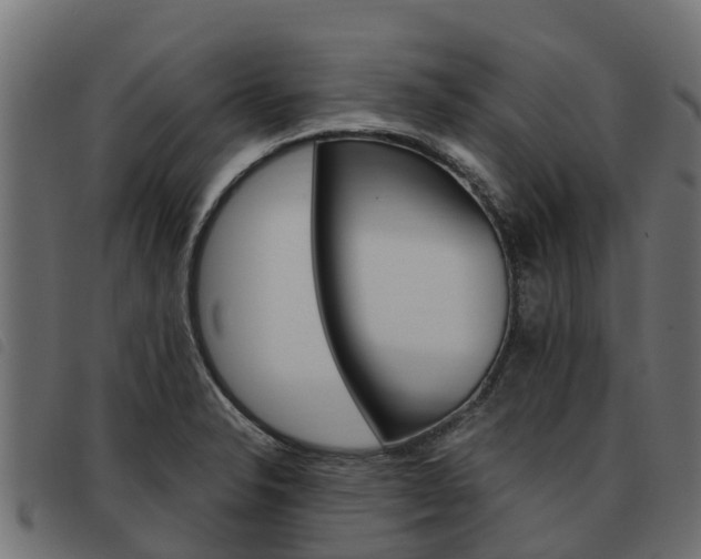 X0000093591326200710151010