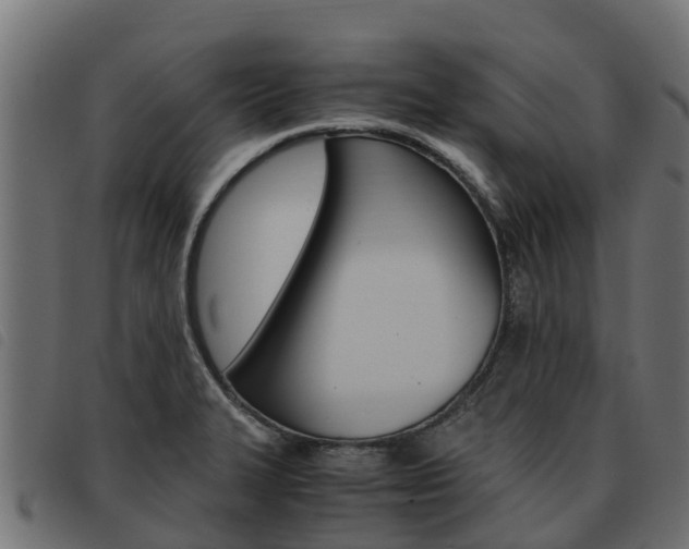 X0000093591327200710151010