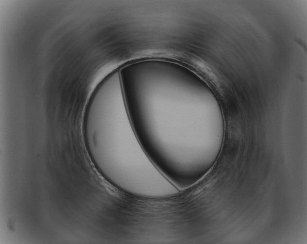 X0000093591328200710151010