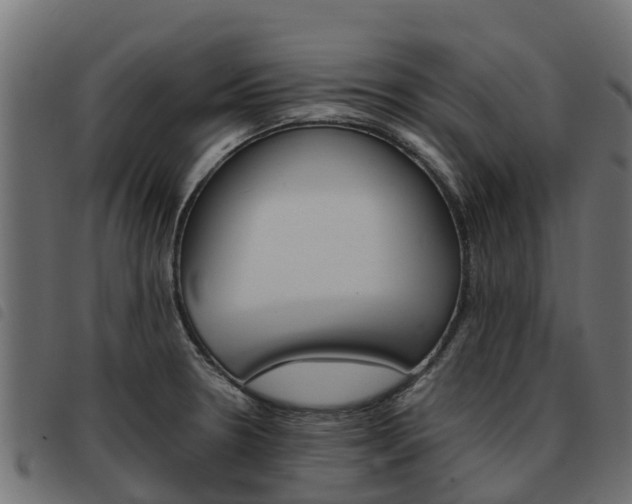 X0000093591330200710151010