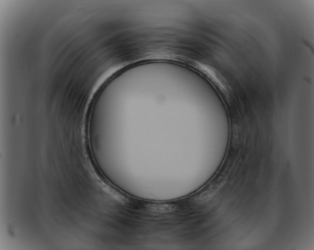 X0000093591331200710151010