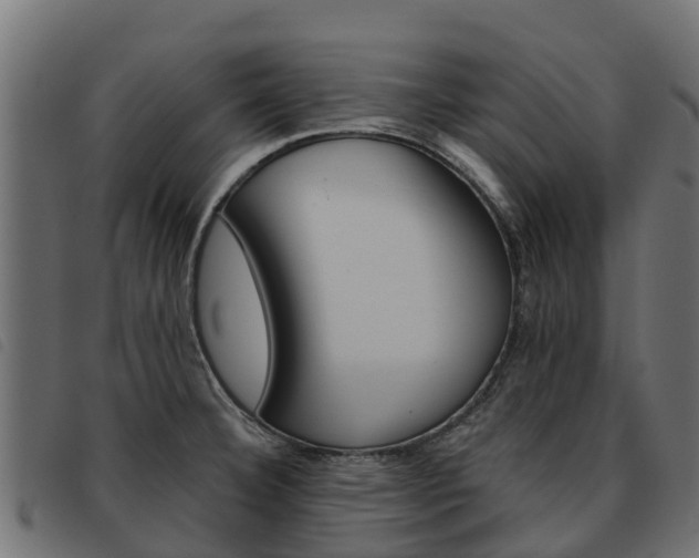 X0000093591332200710151010
