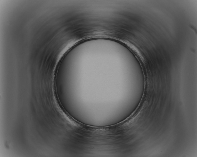 X0000093591333200710151010