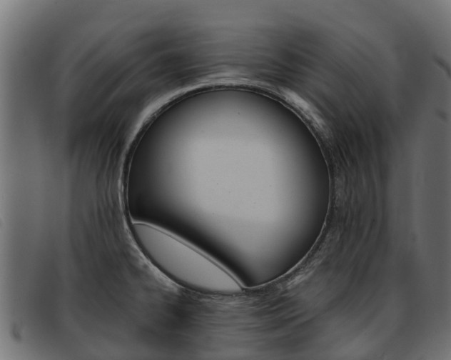 X0000093591334200710151010