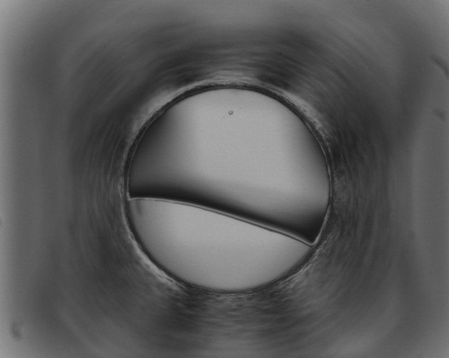 X0000093591335200710151010