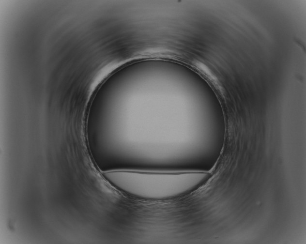 X0000093591336200710151010