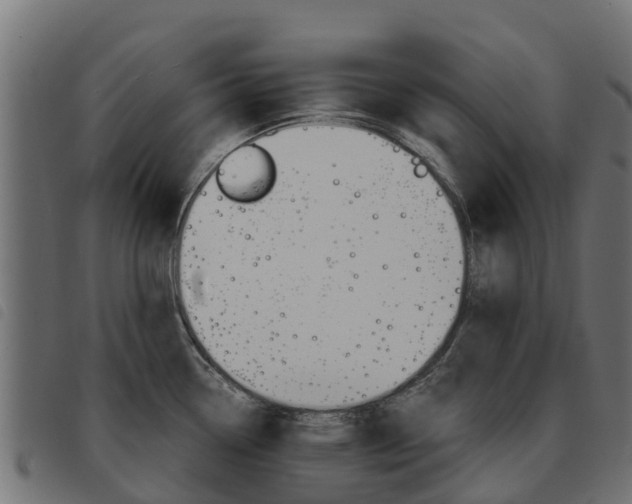 X0000093591338200710151010