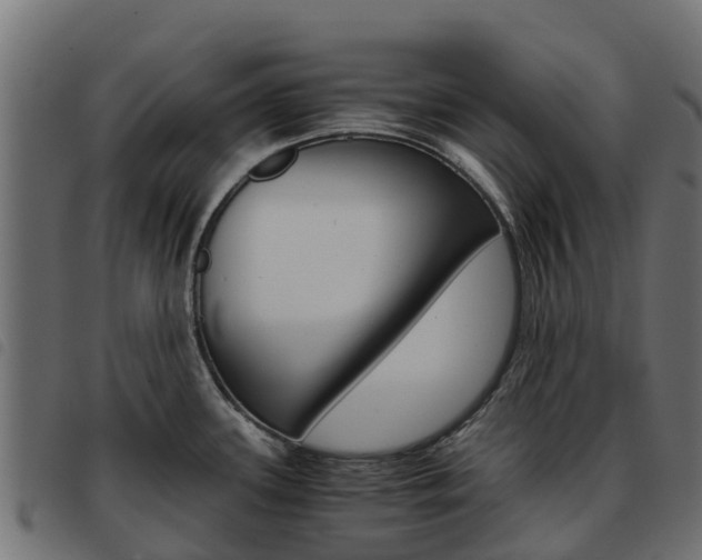 X0000093591339200710151010
