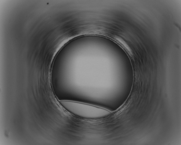 X0000093591340200710151010