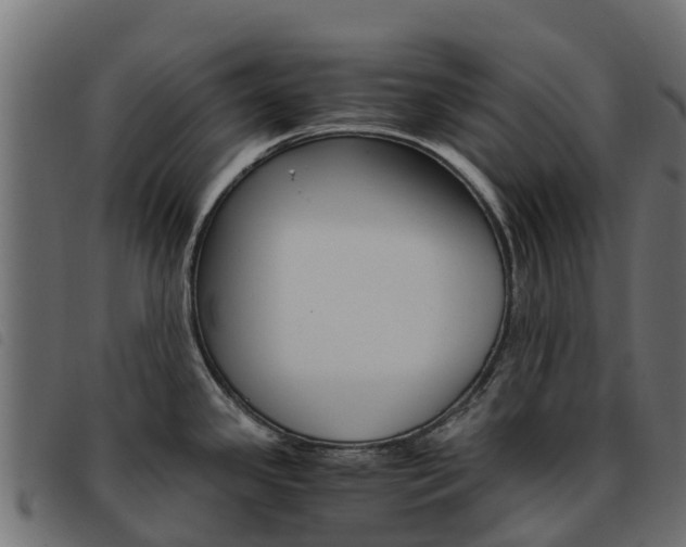 X0000093591341200710151010