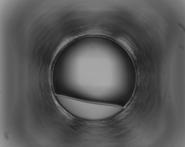 X0000093591342200710151010