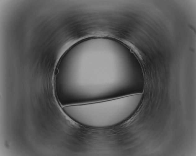 X0000093591343200710151010