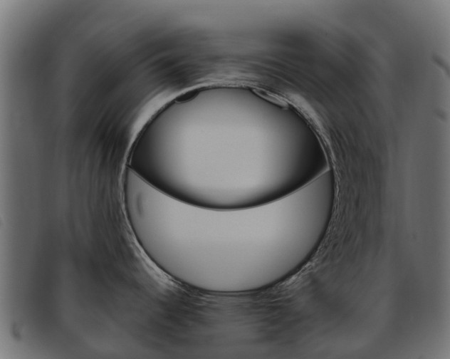 X0000093591344200710151010