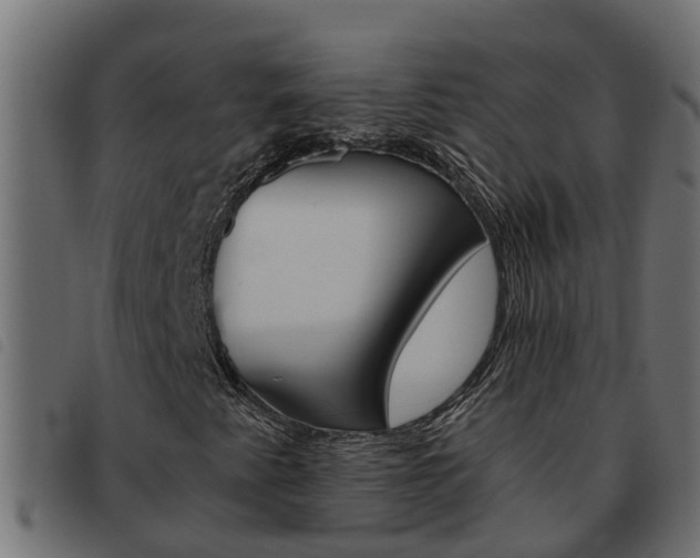 X0000093591345200710151009