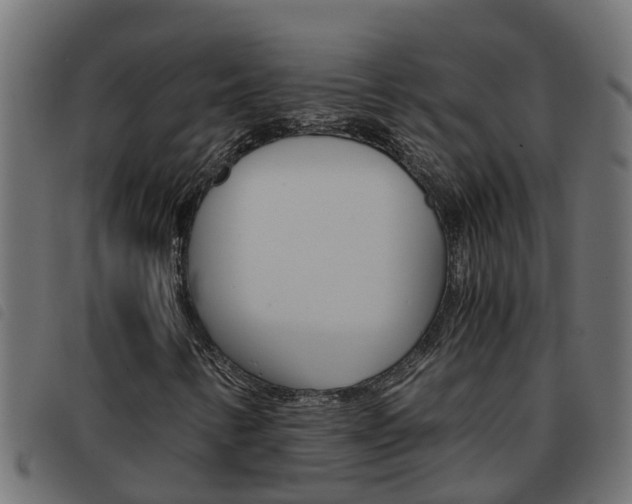 X0000093591346200710151009