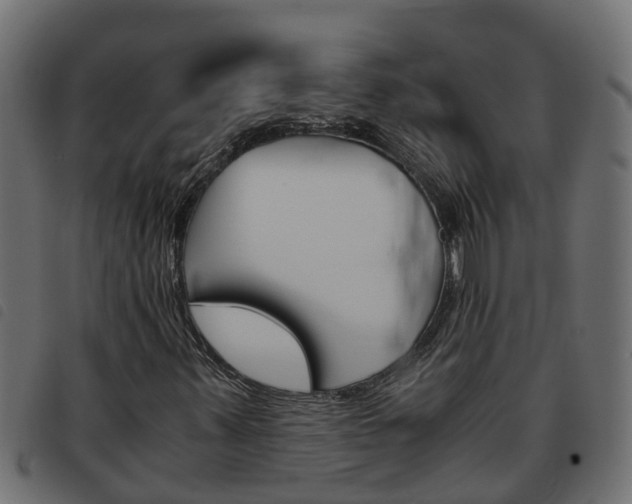 X0000093591347200710151009