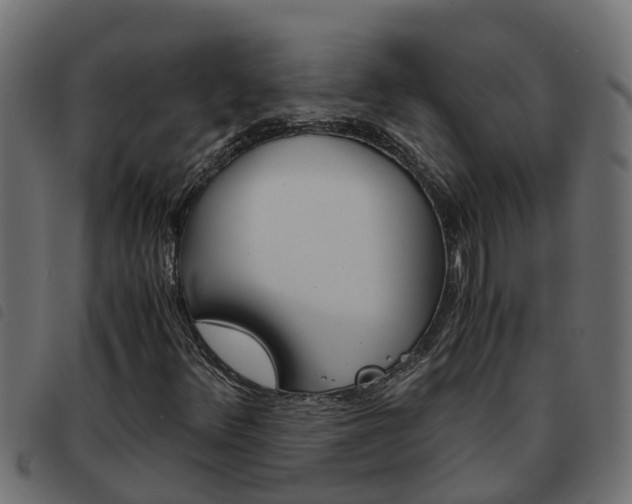 X0000093591348200710151009