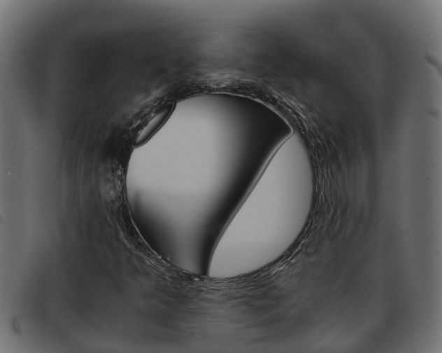 X0000093591349200710151009
