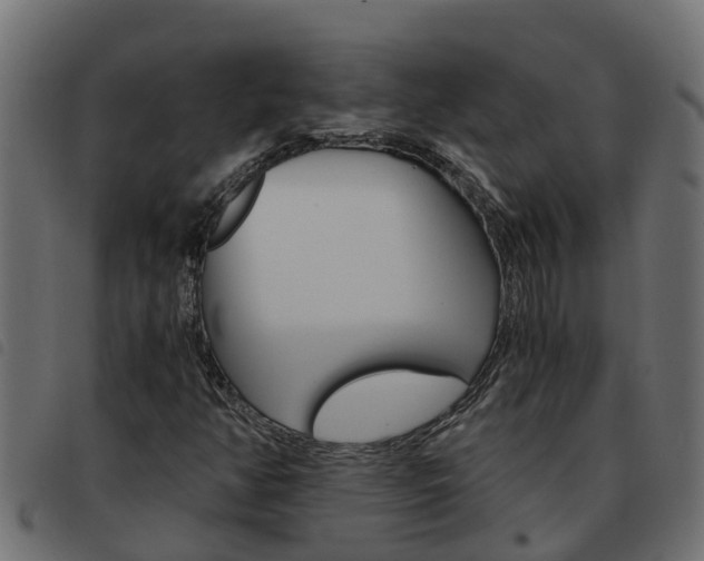 X0000093591350200710151009