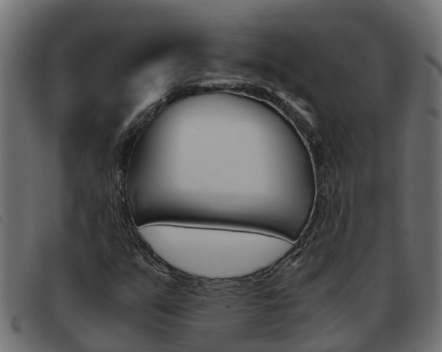 X0000093591351200710151009