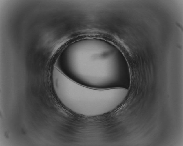 X0000093591352200710151009