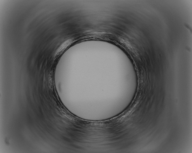 X0000093591354200710151009