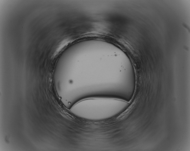 X0000093591355200710151009