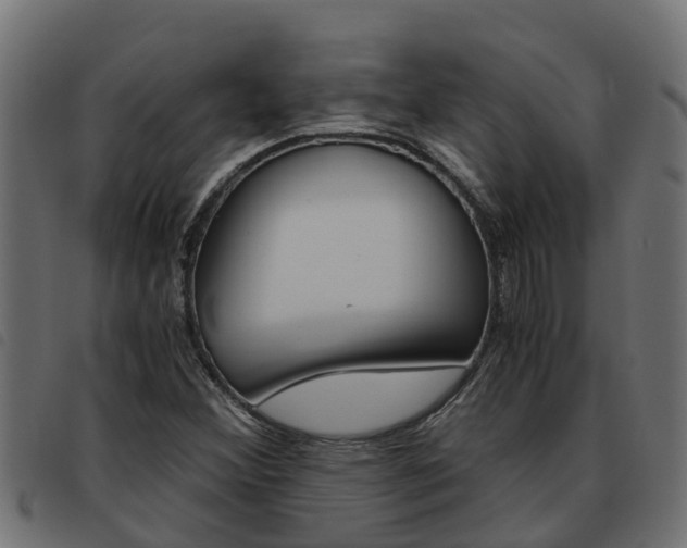 X0000093591356200710151009