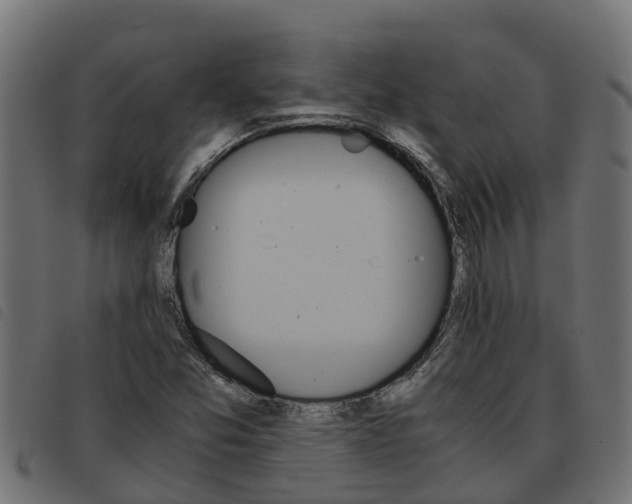 X0000093591357200710151009
