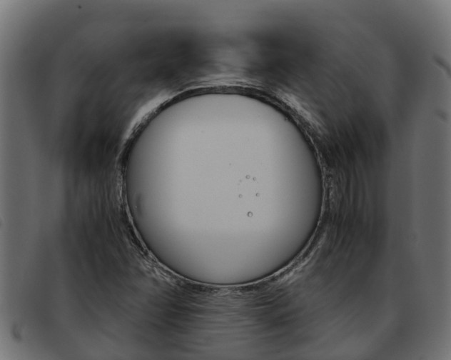 X0000093591358200710151009