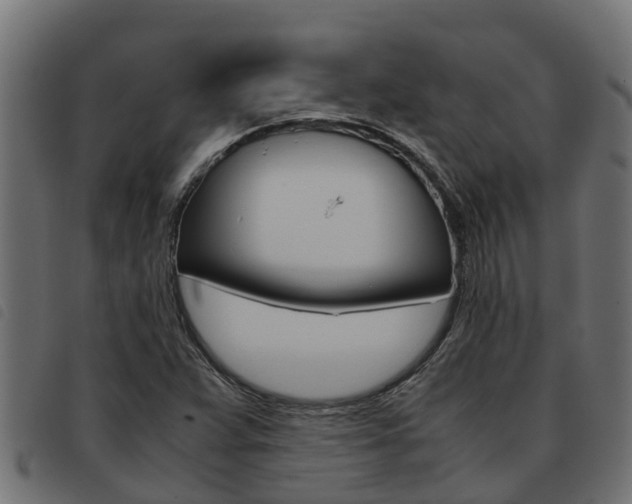 X0000093591359200710151009