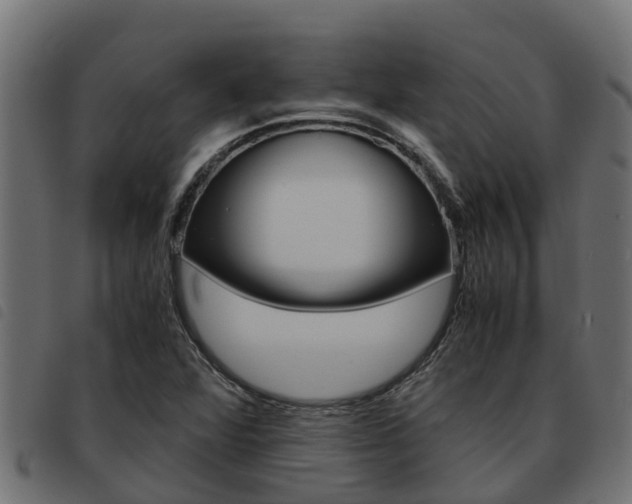 X0000093591360200710151009