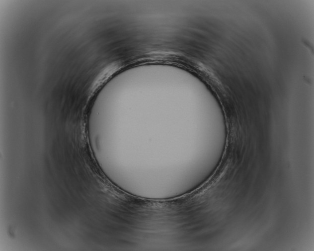 X0000093591362200710151009