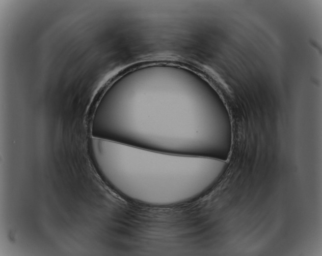 X0000093591364200710151009