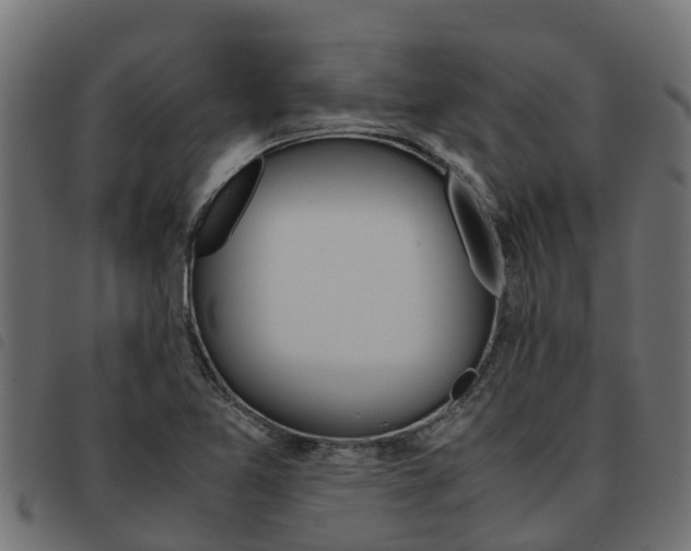 X0000093591365200710151009