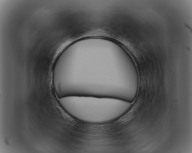 X0000093591366200710151009