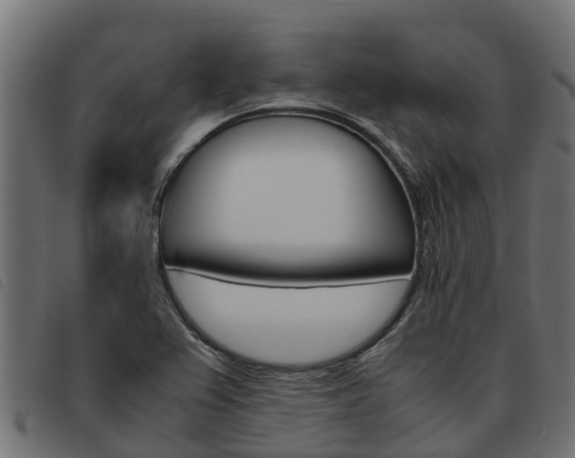 X0000093591367200710151009