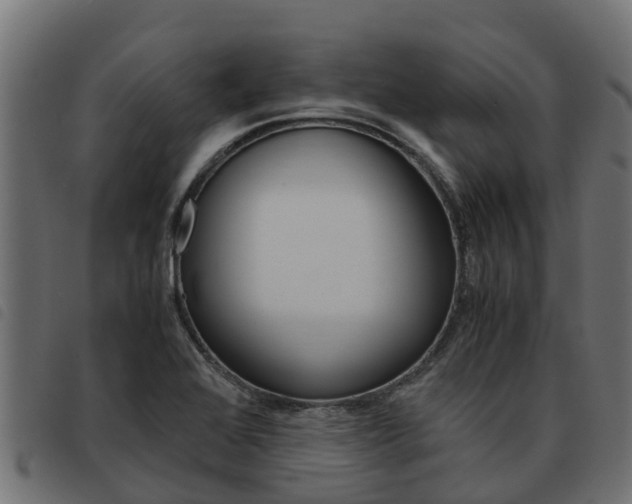 X0000093591368200710151009