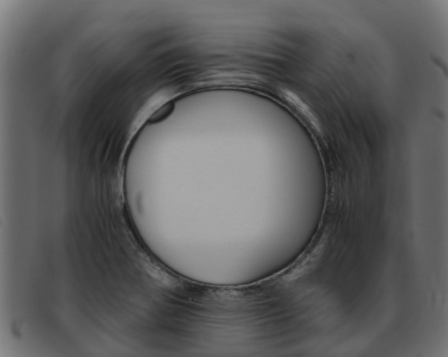 X0000093591370200710151009