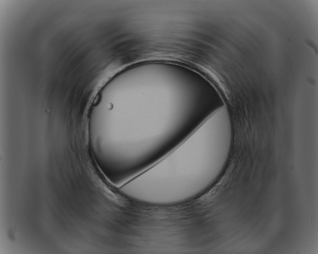 X0000093591371200710151009