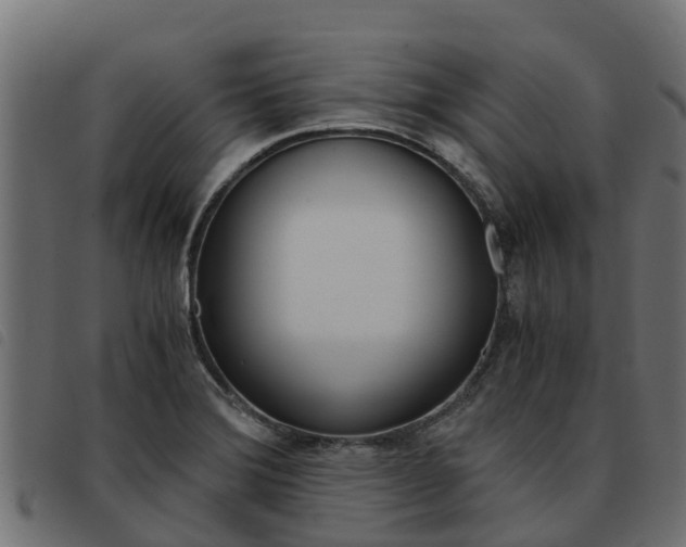 X0000093591372200710151009