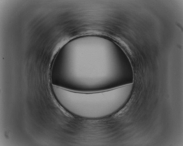 X0000093591373200710151009