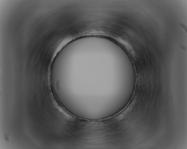 X0000093591374200710151009