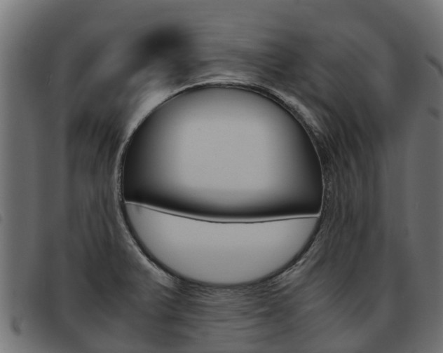 X0000093591375200710151009