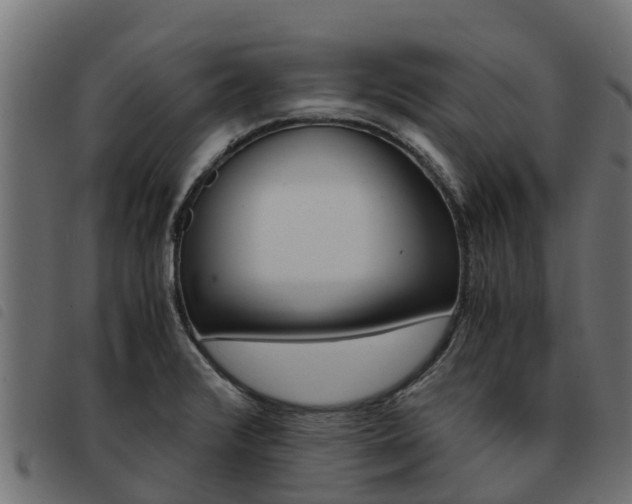 X0000093591376200710151009