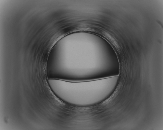 X0000093591377200710151009