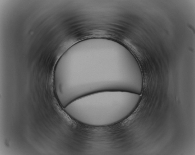 X0000093591378200710151009