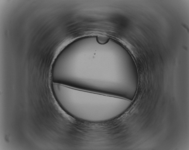 X0000093591379200710151009